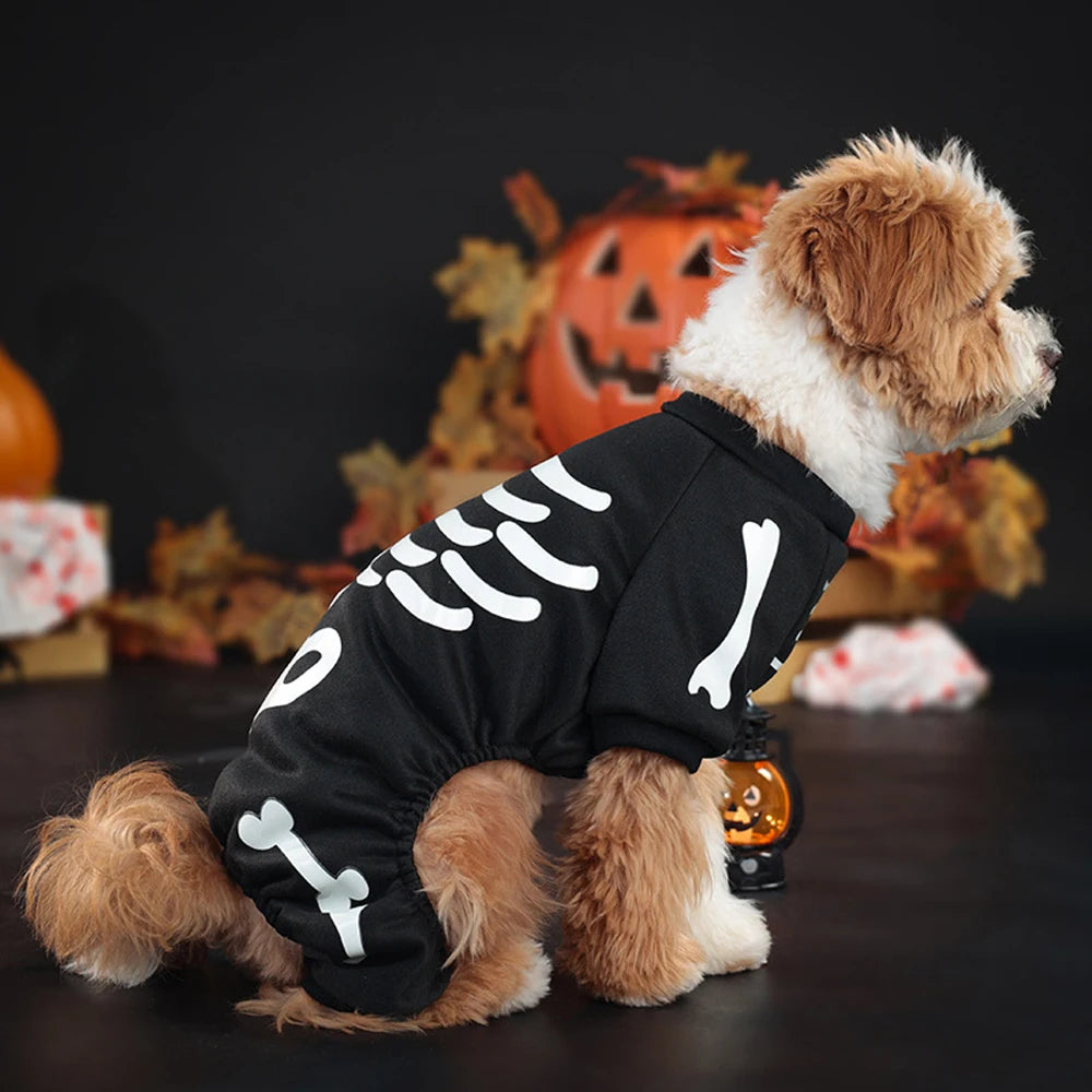 Belro Skeleton Jumpsuit Dog Halloween Costume showing a black dog wearing a spooky skeleton-themed jumpsuit for Halloween.