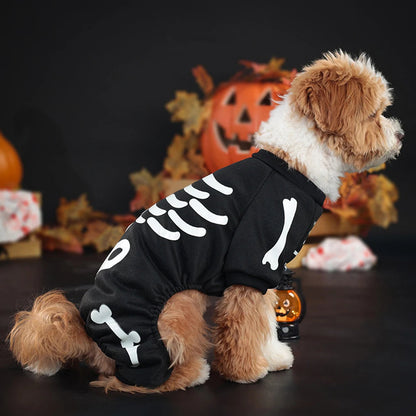 Belro Skeleton Jumpsuit Dog Halloween Costume showing a black dog wearing a spooky skeleton-themed jumpsuit for Halloween.