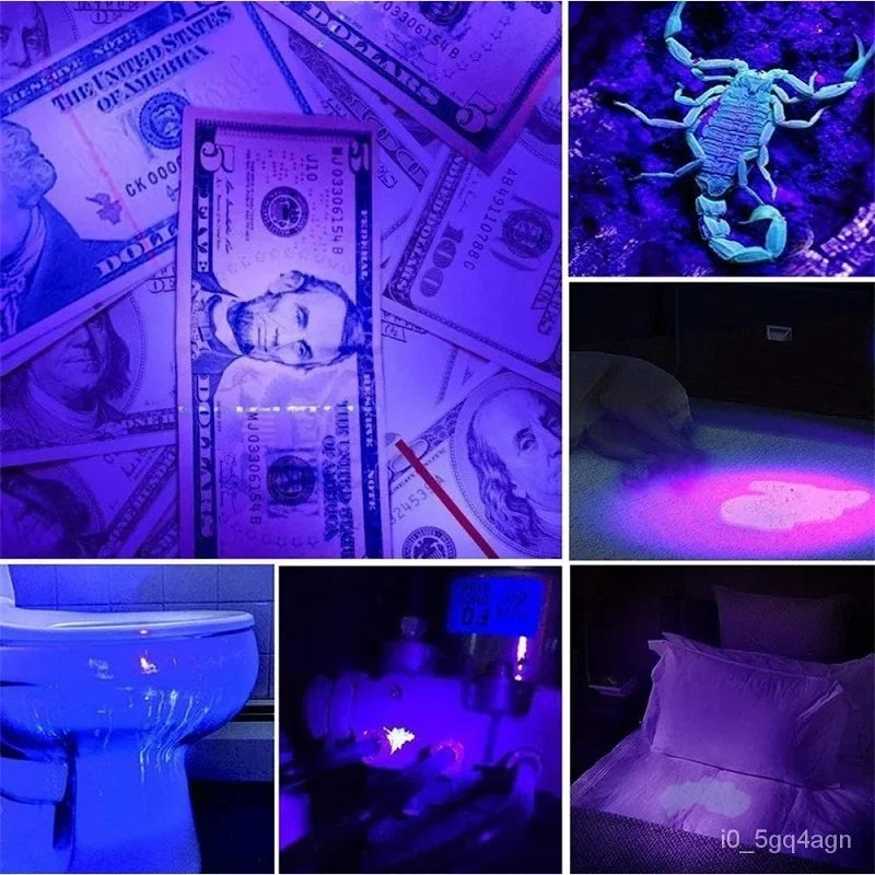 Belro UV flashlight for bed bug detection and stain finding, compact electronic device emitting ultraviolet light.