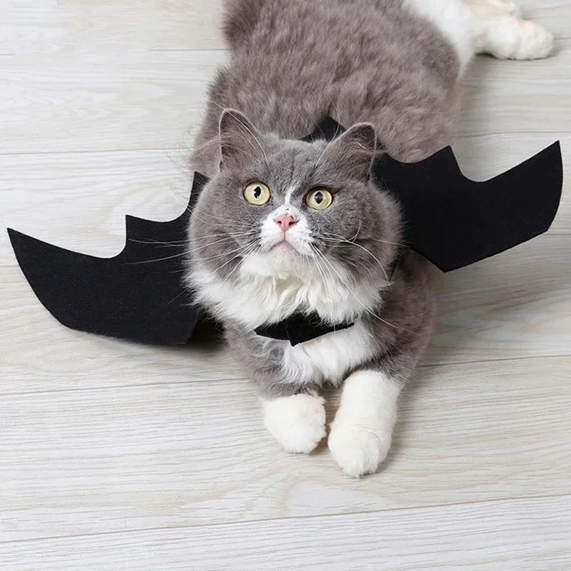 Pet wearing Belro bat wing Halloween costume with black bat wings attached to a clothing outfit for spooky pet dress-up.