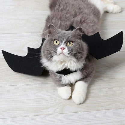Pet wearing Belro bat wing Halloween costume with black bat wings attached to a clothing outfit for spooky pet dress-up.