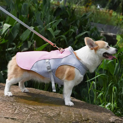 Belro dog cooling vest designed for outdoor activities, lightweight and breathable pet clothing for hot weather.
