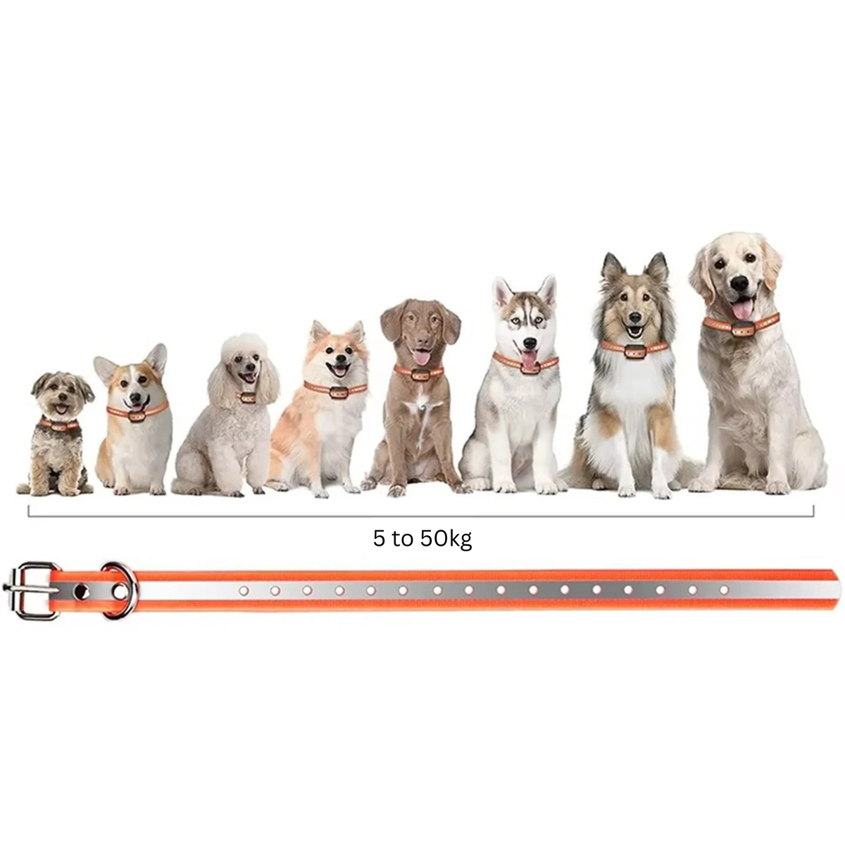 Mivoza dog training collar with remote, vibration and beep modes, suitable for dogs 5 to 50kg, with 1000m range.