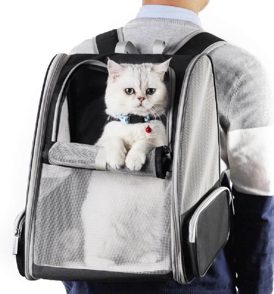 Belro cat backpack carrier bag designed for pet travel, featuring a mesh window and adjustable straps for comfort and ventilation.