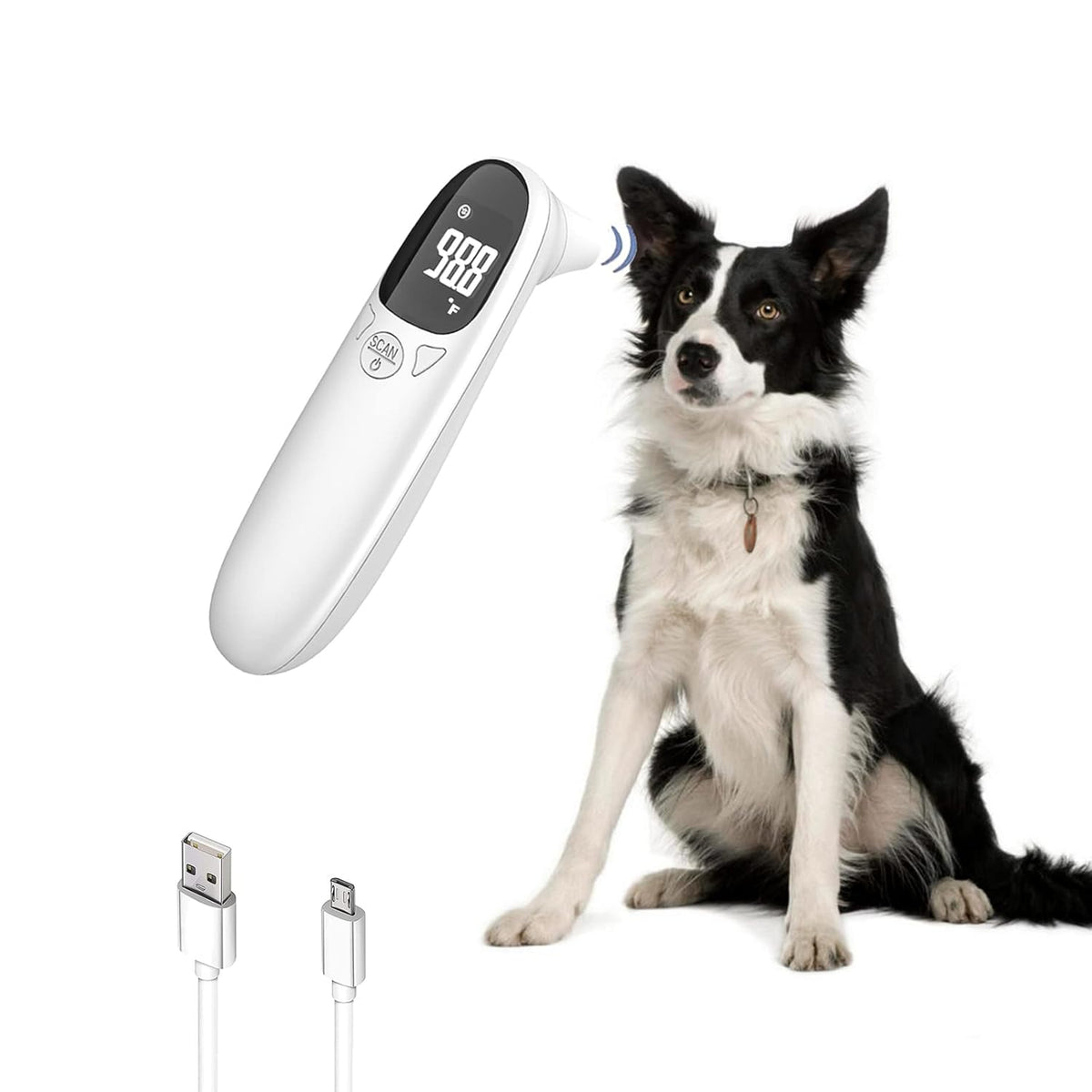 Belro pet thermometer displaying digital screen, used for measuring pet temperature with electronic monitor.