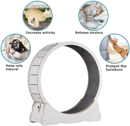 Belro cat exercise wheel for pets, featuring a sturdy circular design for feline activity and exercise.