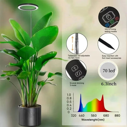 Belro grow light for indoor plants, providing full spectrum LED illumination for healthy plant growth indoors.