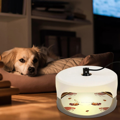 Belro indoor bed bug trap with sticky surface and bait station for effective pest control in home and garden settings.