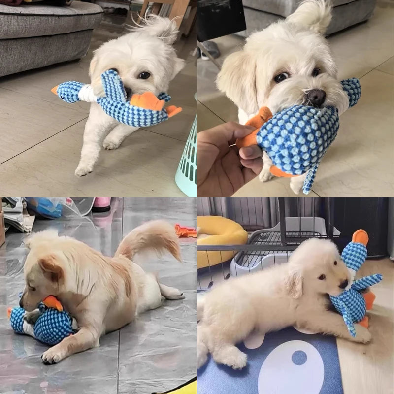 Belro plush dog chew toy with squeaker, soft and colorful pet toy designed for dogs to play and chew.
