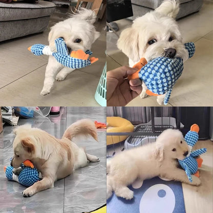 Belro plush dog chew toy with squeaker, soft and colorful pet toy designed for dogs to play and chew.