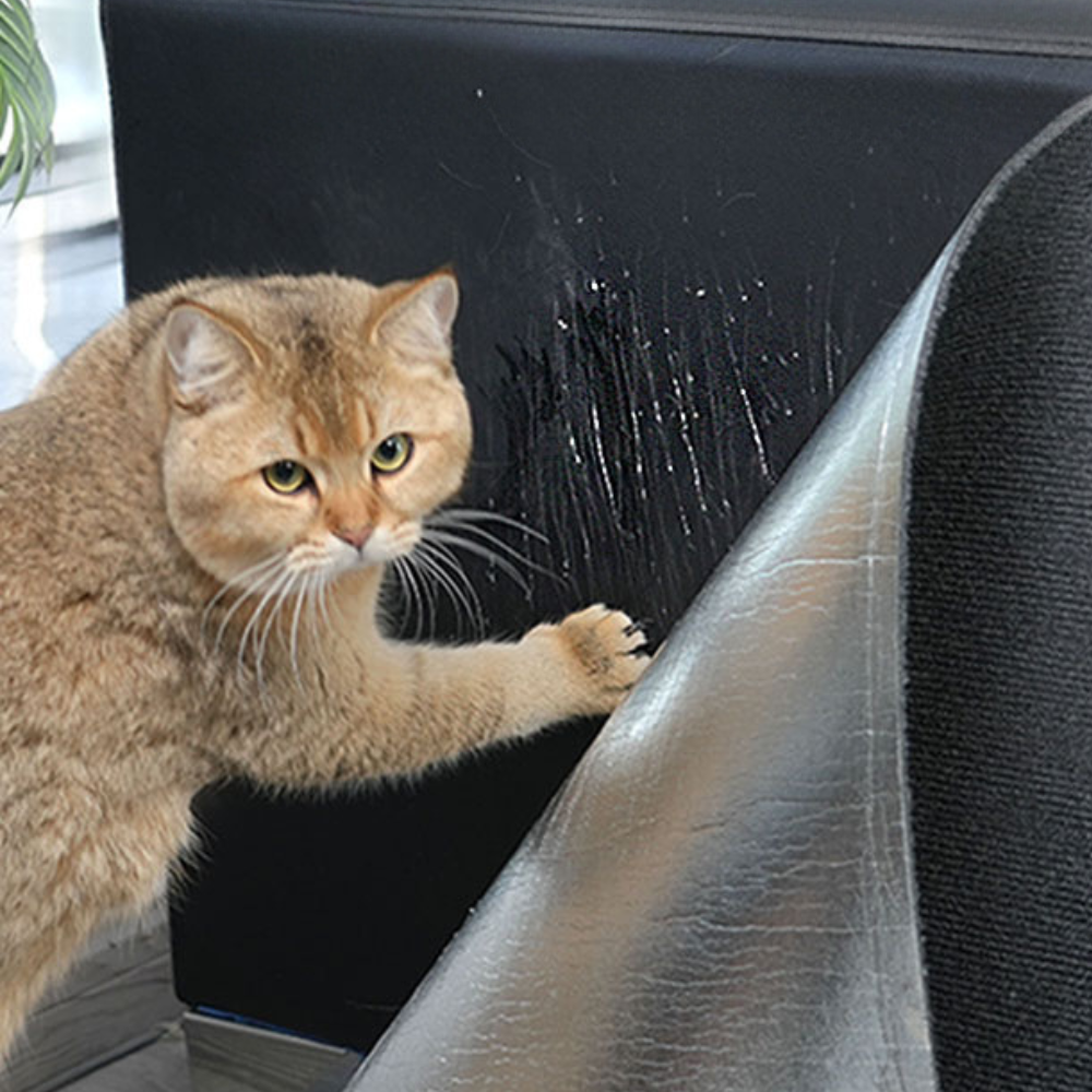 Belro Ultimate Cat Scratch Couch Guard Protector Carpet Mat designed to shield furniture from cat scratches and damage