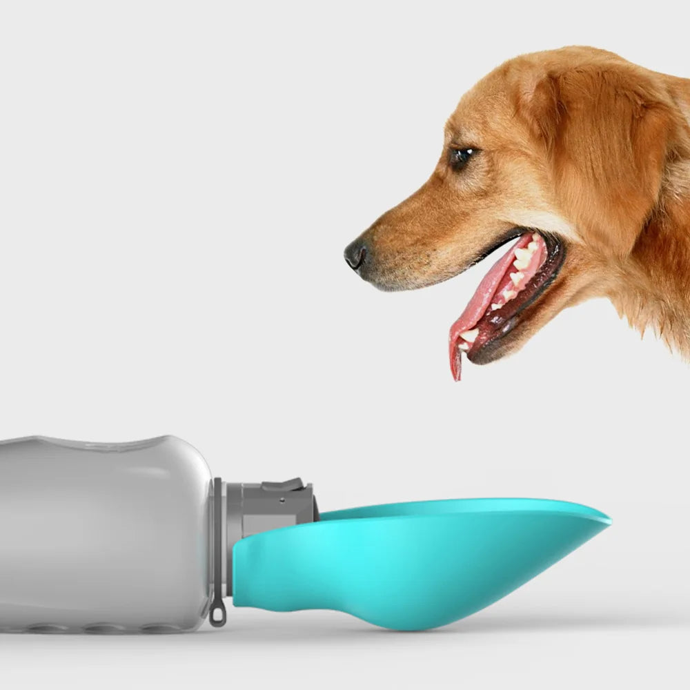 Belro portable dog water bottle with collapsible cup for easy hydration during outdoor walks with dogs.