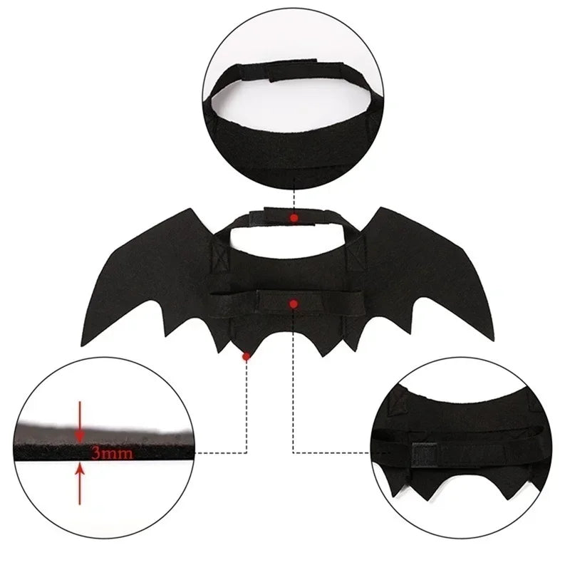 Pet wearing Belro Bat Wing Halloween costume, pet clothing with black bat wings for Halloween dress-up.