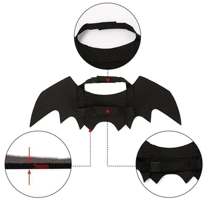 Pet wearing Belro Bat Wing Halloween costume, pet clothing with black bat wings for Halloween dress-up.