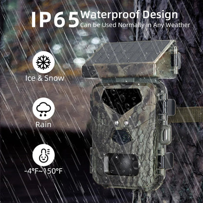 Belro compact solar-powered trail camera with black outdoor design, mounted on a tree in a natural outdoor setting.