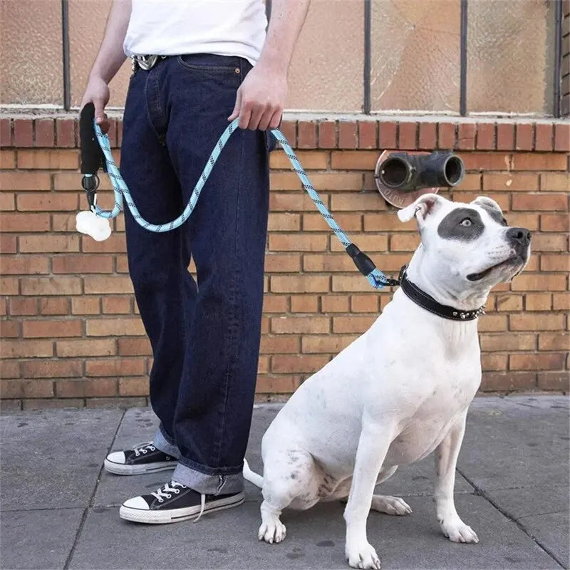 Reflective dog leash with padded handle from Belro, featuring bright reflective strips for visibility during walks.