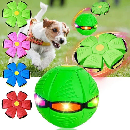 Belro Flying Saucer Ball dog toy with bright colors, durable design, and playful shape for pet entertainment.