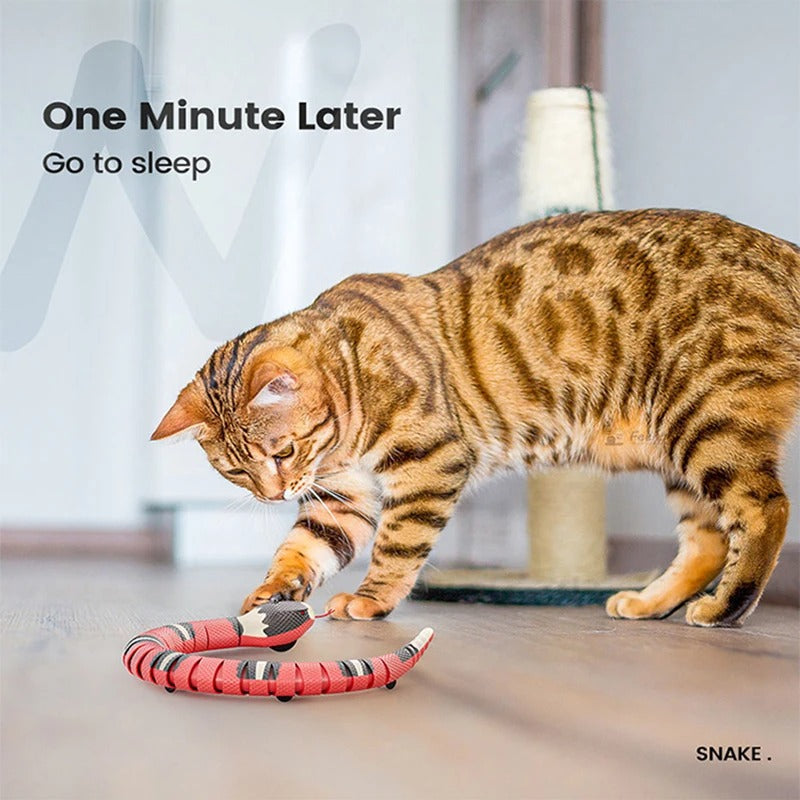 Belro interactive cat toy with colorful feathers and moving parts designed to engage and entertain cats.