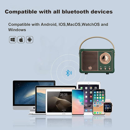 Belro Retro Bluetooth Speaker in black, compact electronic audio device with vintage design and control buttons visible.
