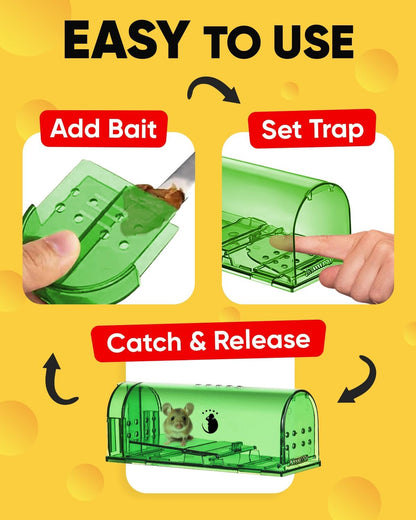 Belro 4-pack mouse traps for outdoor pest control, showing metal trap mechanisms ready to catch mice in a home and garden setting.