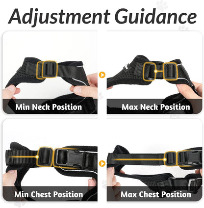Belro escape-proof cat harness with adjustable straps and secure buckle, designed for safe outdoor walks with cats.