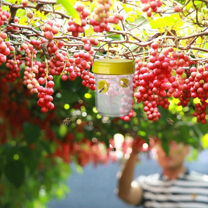 Belro insect fruit fly trap for outdoor pest control, featuring a compact design with bright colors to attract and trap fruit flies effectively.