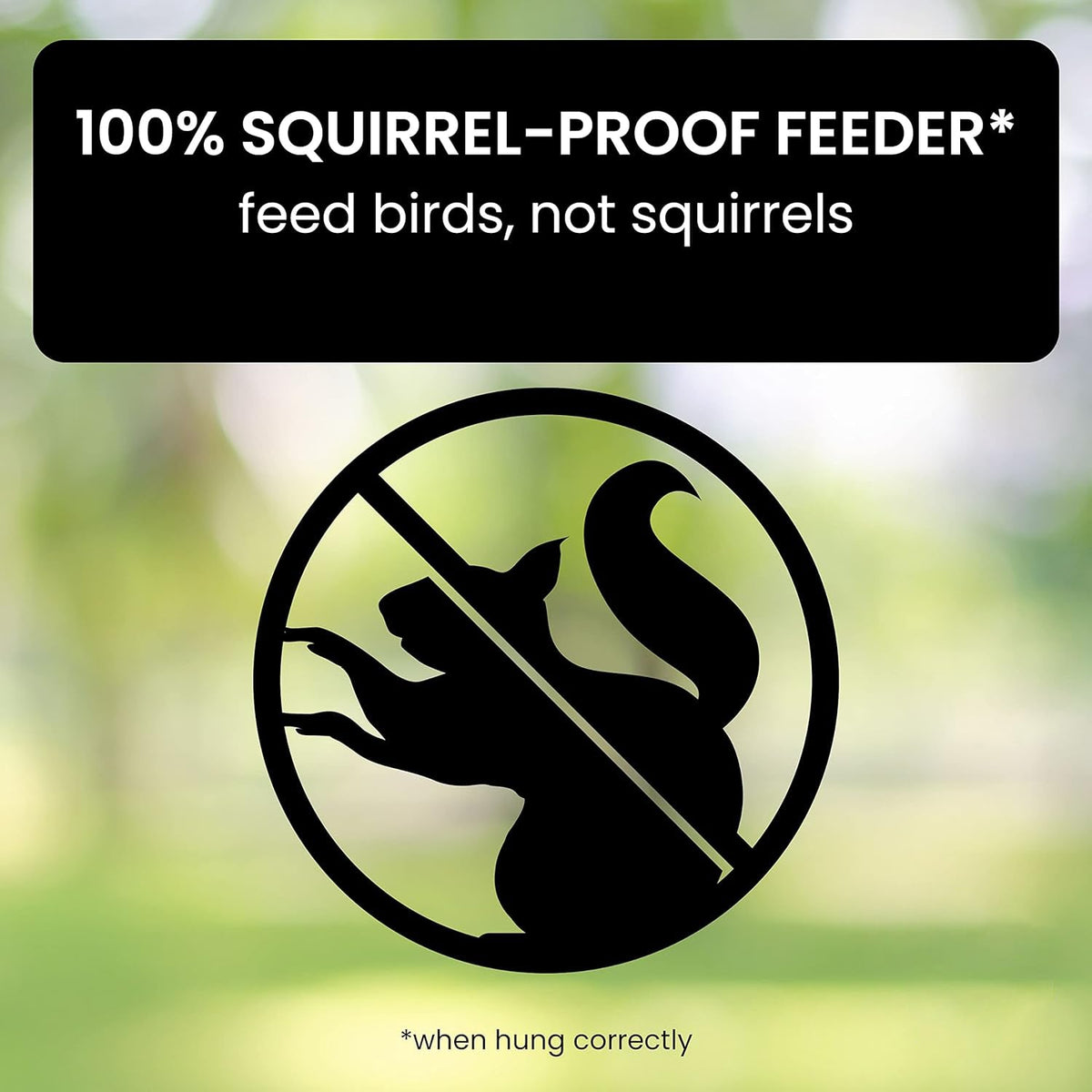 Belro squirrel-proof bird feeder hanging outdoors, designed for bird watching in a garden or yard.
