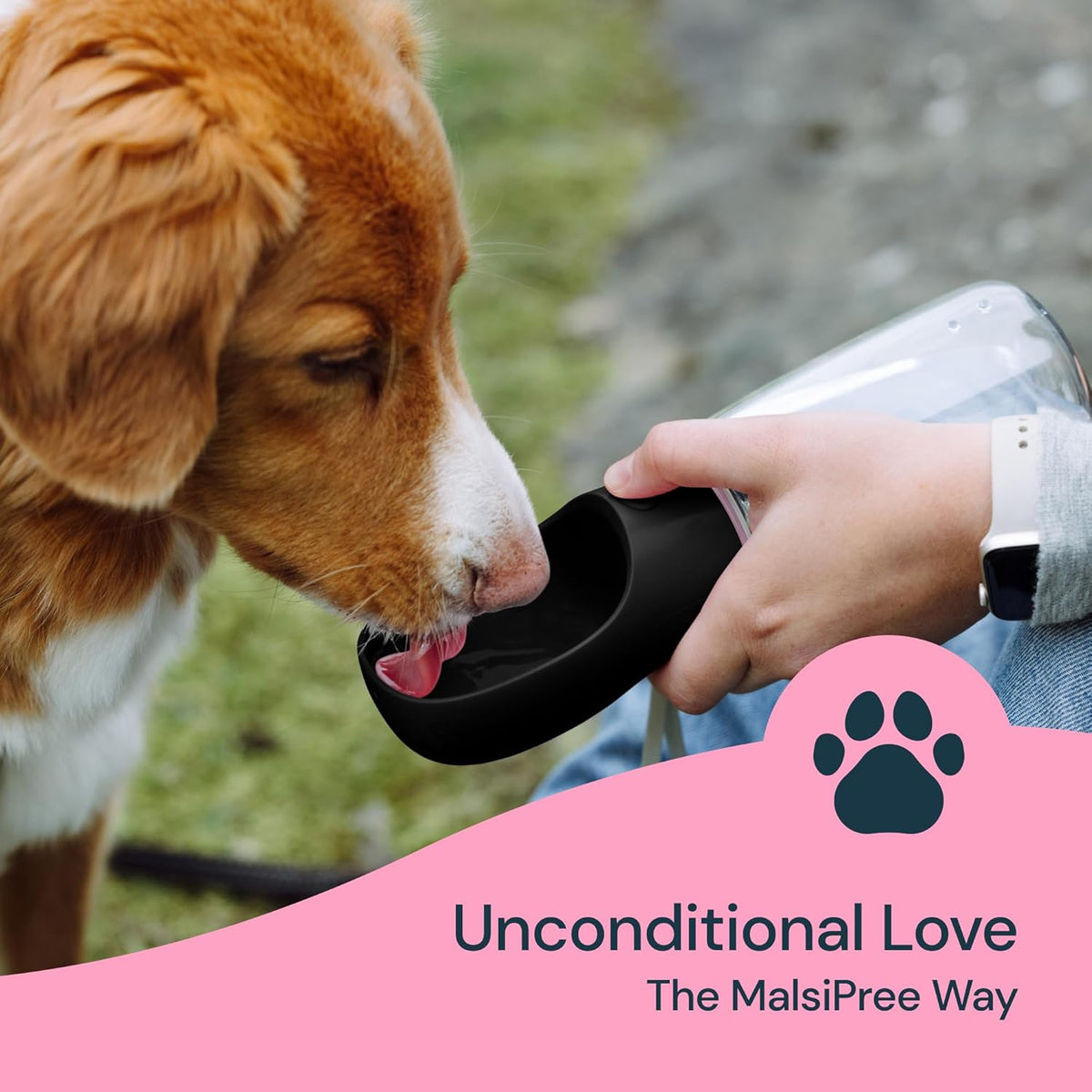 Belro 19 oz portable water bottle for dogs with a leak-proof design and integrated bowl for convenient pet hydration.