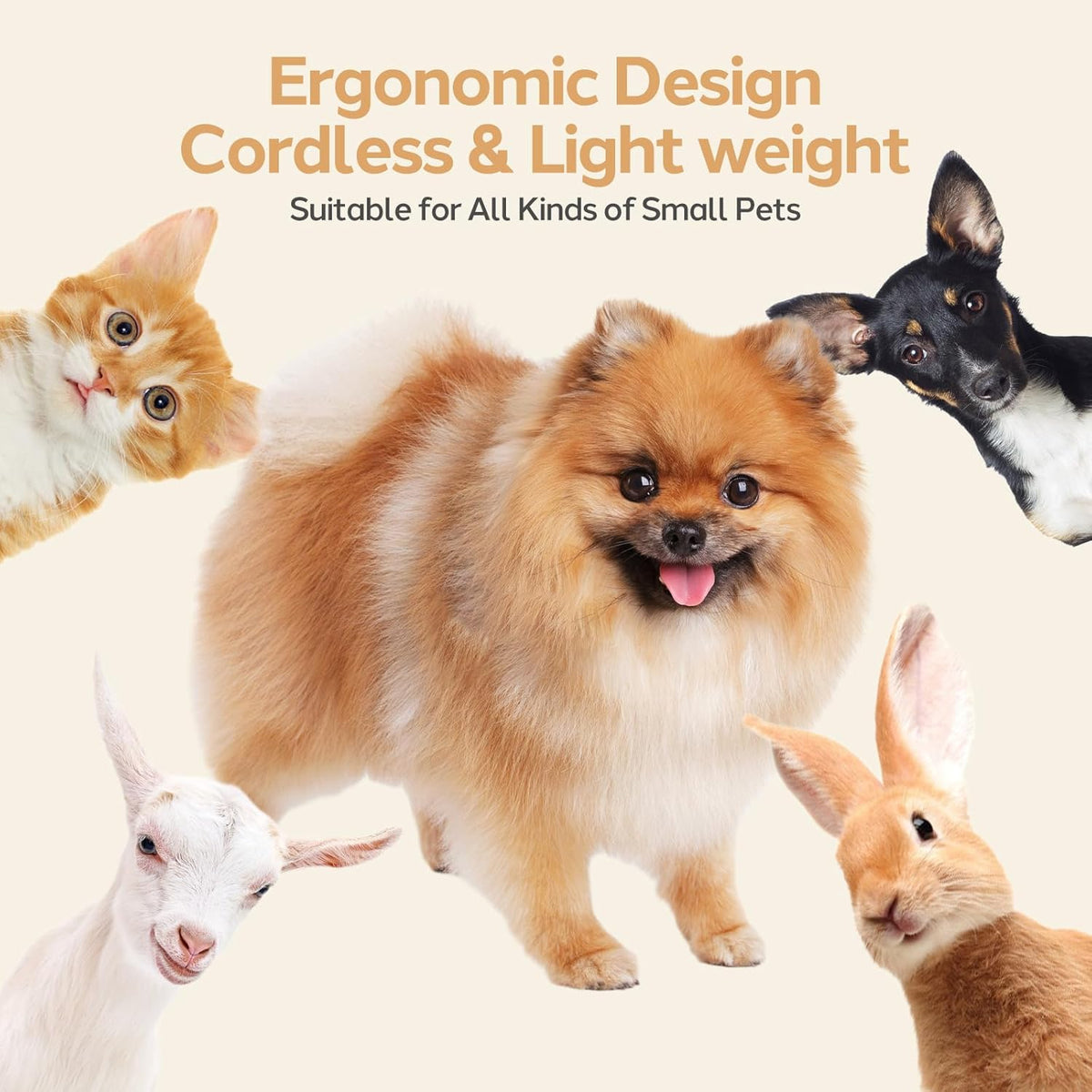 Belro dog grooming clippers kit with various hair accessories for grooming pets, includes blades and comb attachments.