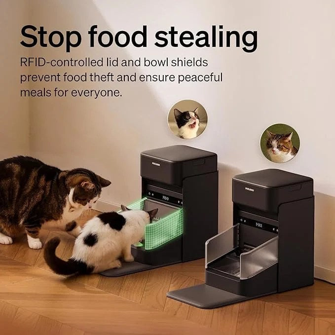 Casavibeo PETLIBRO RFID automatic cat feeder with collar sensor, Wi-Fi control, personalized meals, and diet tracking for multi-pet homes.