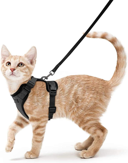 Belro escape-proof cat harness with adjustable straps and secure clip, designed for safe outdoor walks with pets.