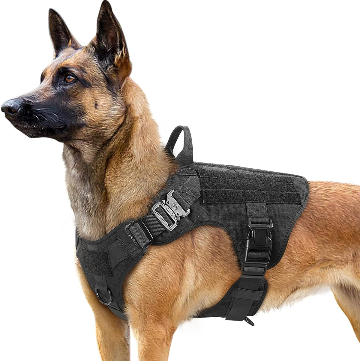 Belro tactical no pull dog harness shown on a dog, designed for comfortable control during walks and outdoor activities.