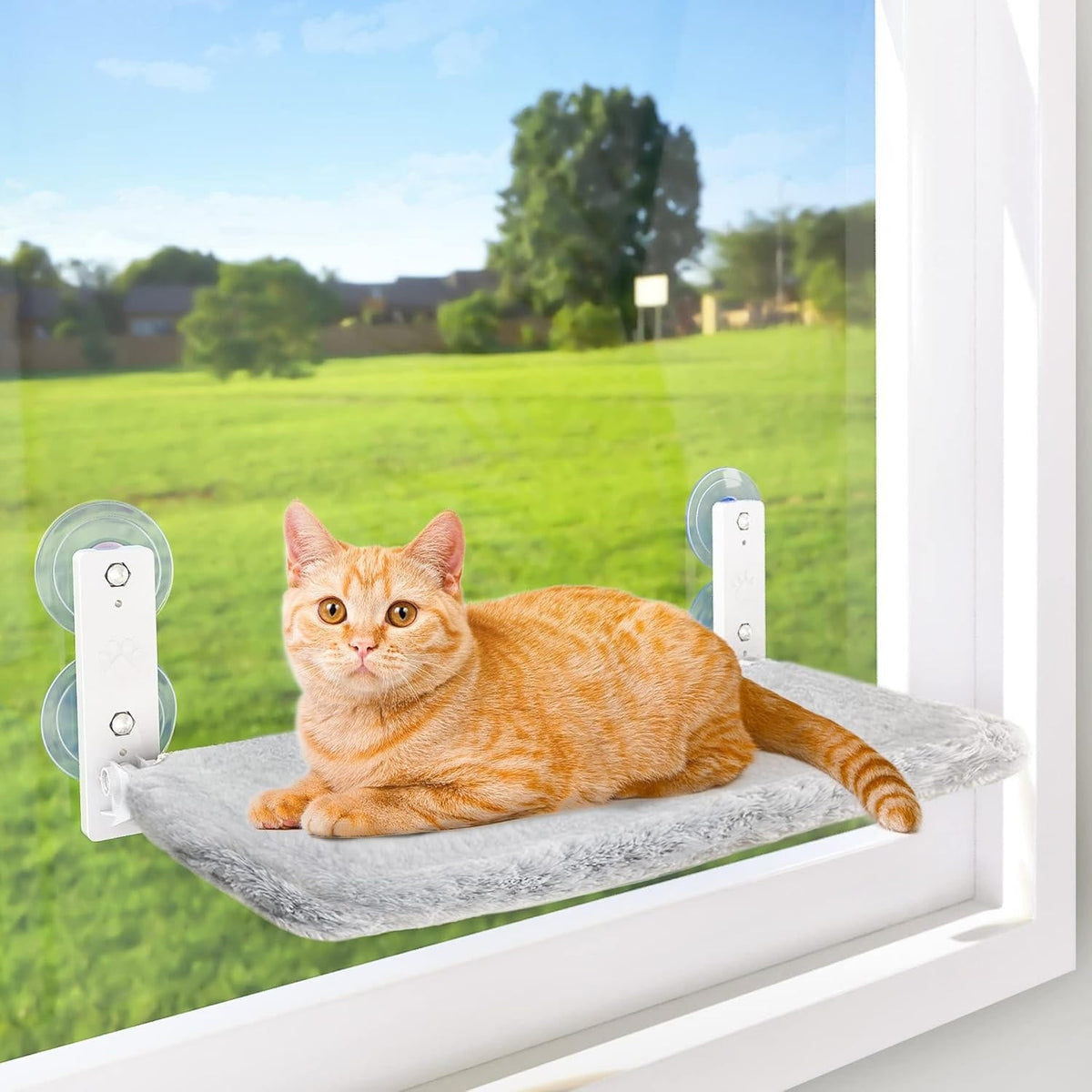 Belro cat hammock window perch attached to a home window, providing a cozy resting spot for cats in the home and garden furniture.