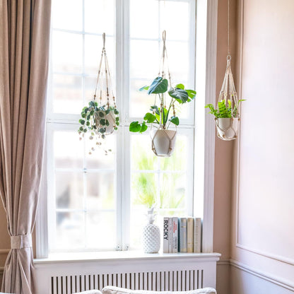 Belro indoor hanging planter pot for home and garden, featuring a stylish design for indoor plant display.
