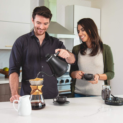 Belro electric gooseneck kettle with sleek stainless steel body and ergonomic handle, ideal for precise pour-over brewing.