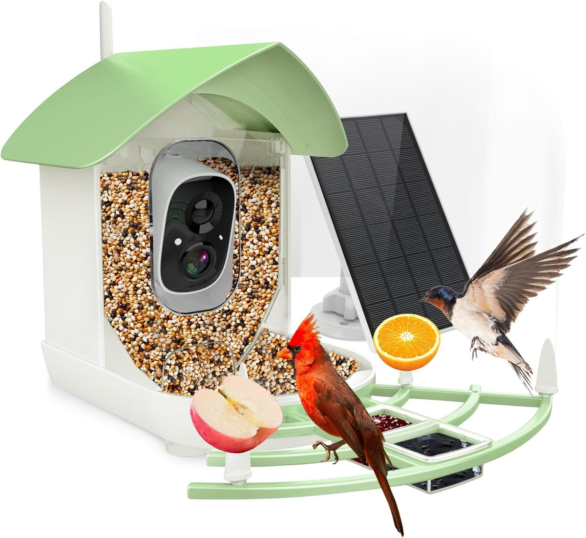 Belro Smart Bird Feeder Camera mounted outdoors, capturing wildlife with built-in trail camera and bird feeding features.