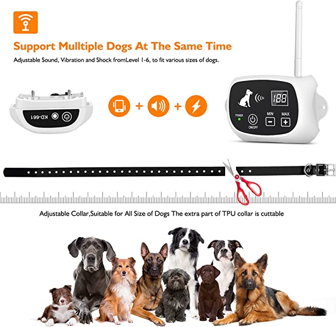 Wireless dog fence with collar by Belro, showing the electronic receiver and boundary wire for pet containment.