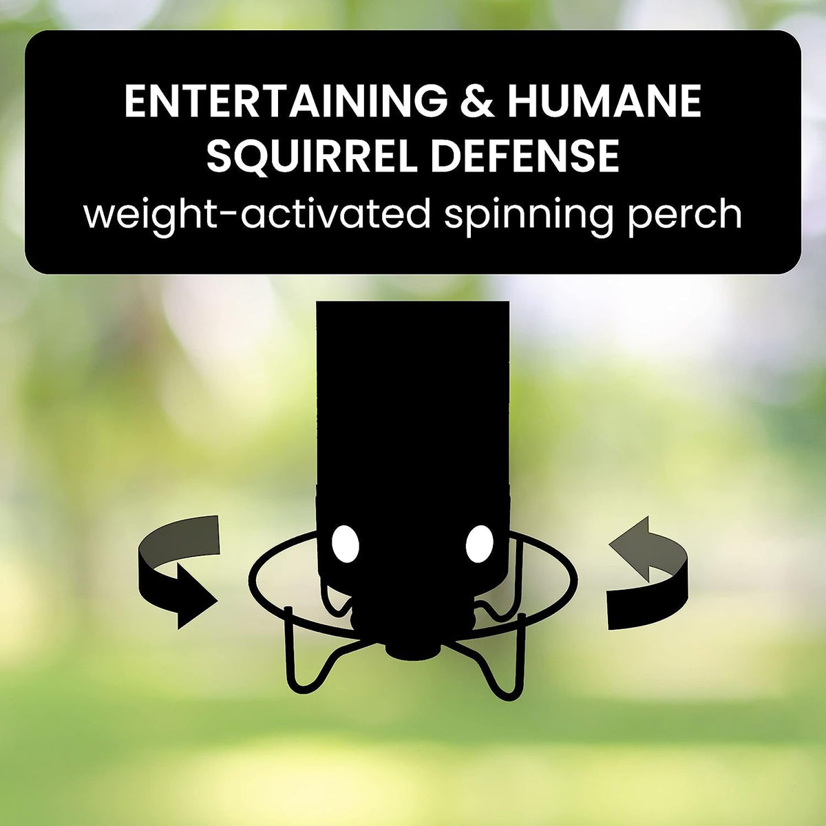 Belro squirrel-proof bird feeder hanging outdoors, designed to keep squirrels out while attracting small garden birds.