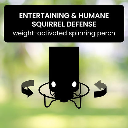 Belro squirrel-proof bird feeder hanging outdoors, designed for attracting small birds while preventing squirrel access.