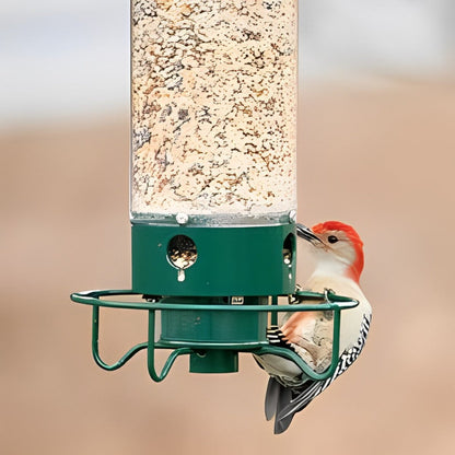 Belro squirrel-proof bird feeder hanging outdoors, designed to prevent squirrels from accessing bird food in a home and garden decor setting.