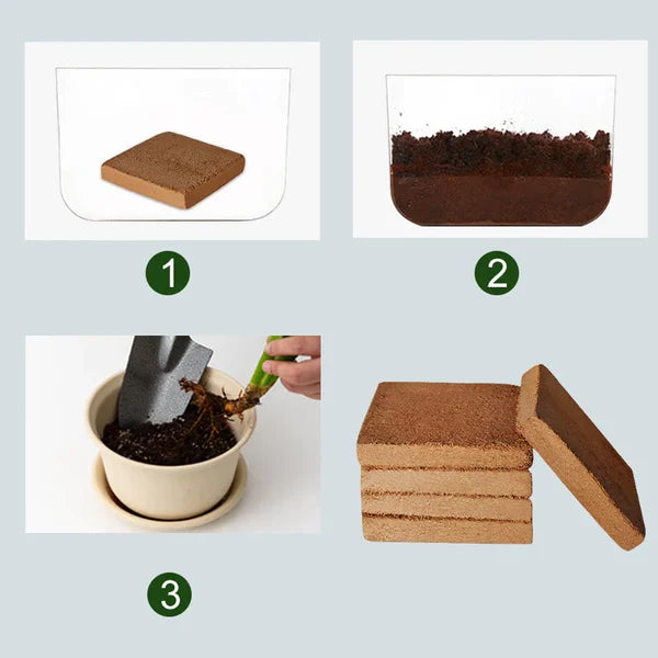 Organic coconut coir for plants, Belro brand outdoor gardening material, showing textured coir fiber in a natural setting.