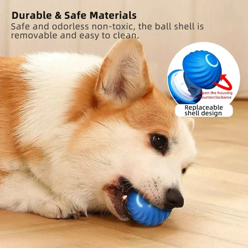 Belro active rolling ball toy for cats, an automatic moving toy designed to reduce anxiety and entertain feline pets.