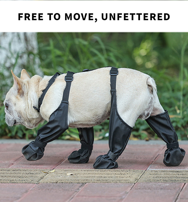 Adjustable Belro dog boots showing waterproof footwear designed for outdoor protection and comfortable fit.