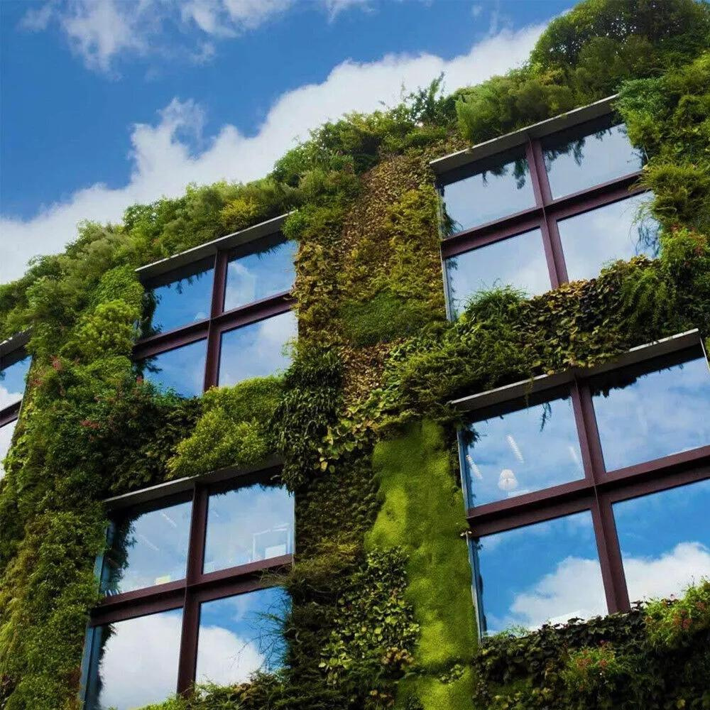 Belro reflective one-way privacy glass window insulation film on a window, providing privacy and temperature control for homes.