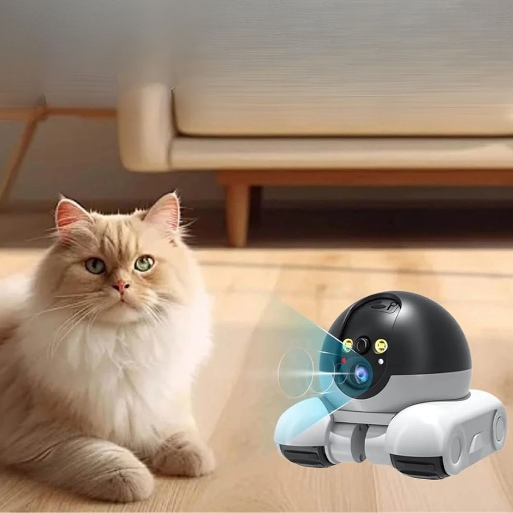 Belro indoor pet camera for dogs and cats, mounted on a wall, showing live video feed of pets in a home environment