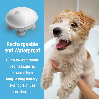 Belro pet massager for dogs, handheld grooming tool with soft massage heads, designed to soothe and clean your furry friend's coat.