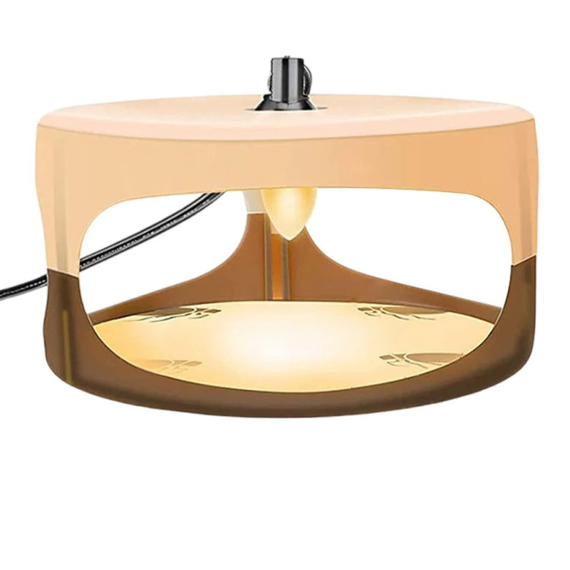 Belro indoor bed bug trap with sticky adhesive and attractant designed to monitor and catch bed bugs in home environments.