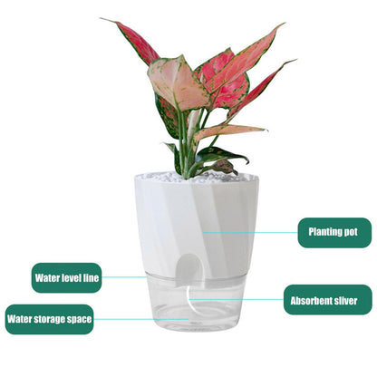 Belro self-watering planter for home and garden outdoor space, featuring a sleek design with built-in water reservoir.