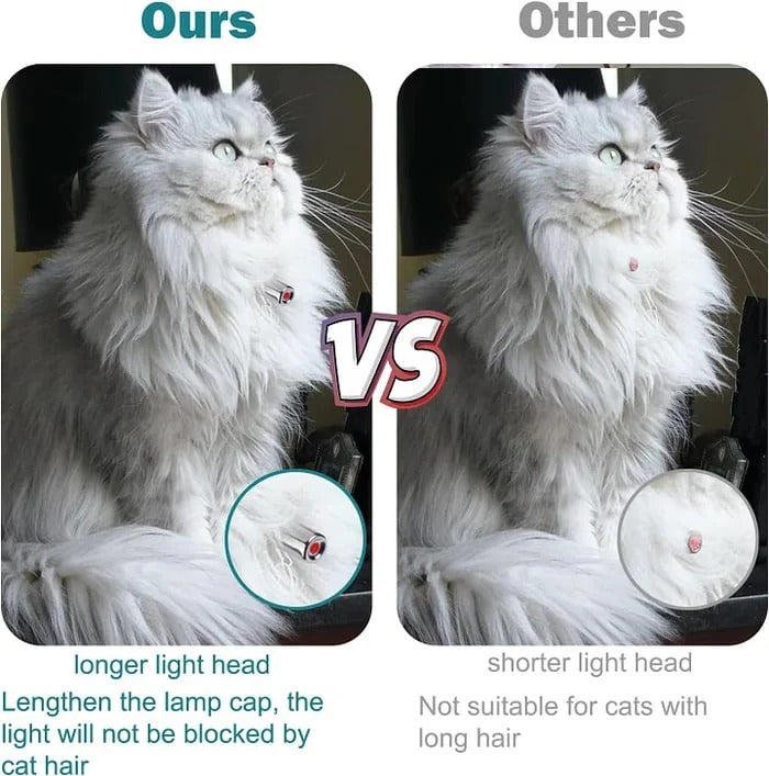 Mivoza Laser Play Cat Collar with built-in laser toy, designed for active, supervised play for cats in pet supplies and interactive collars