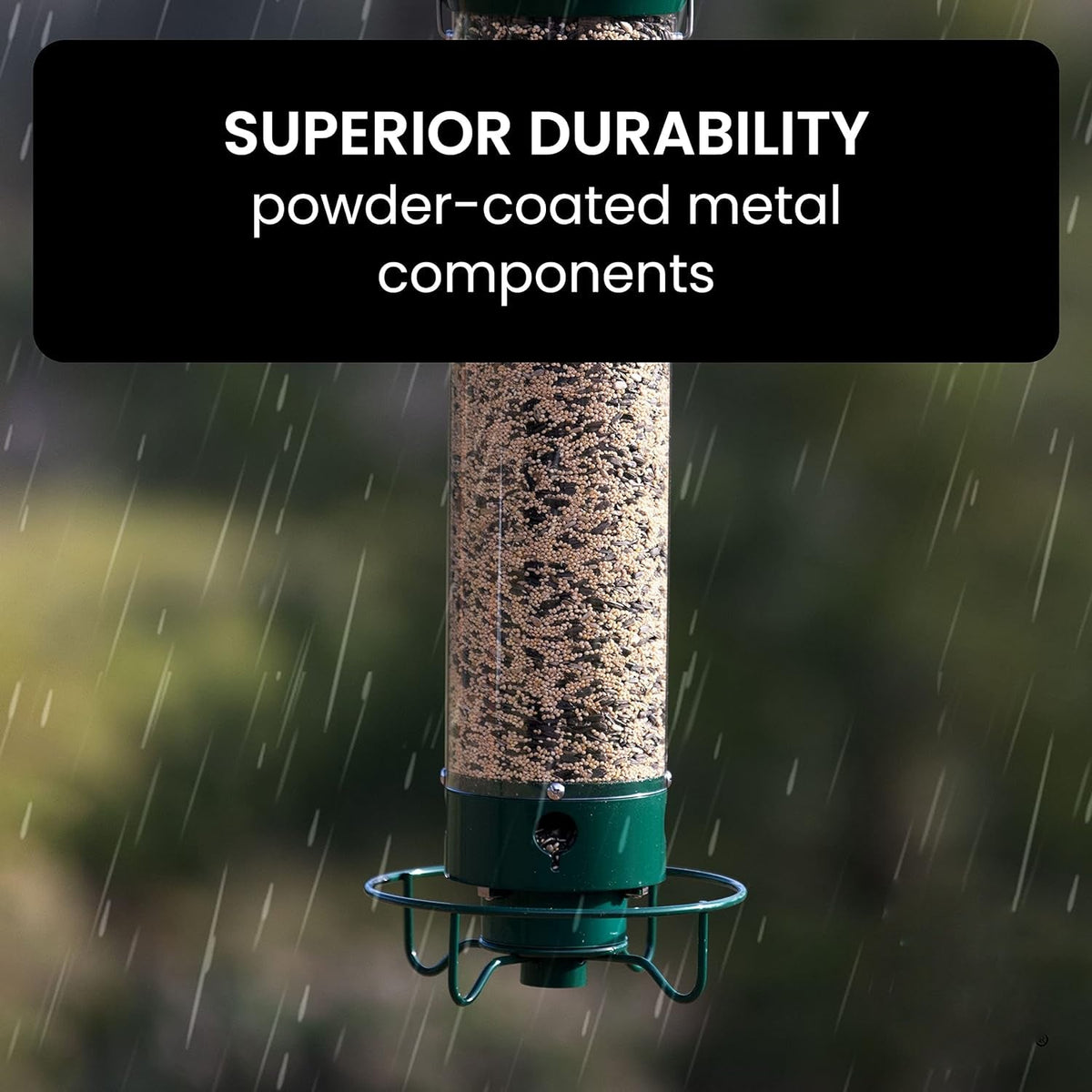 Belro squirrel-proof bird feeder hanging outdoors, designed to prevent squirrel access and attract various bird species